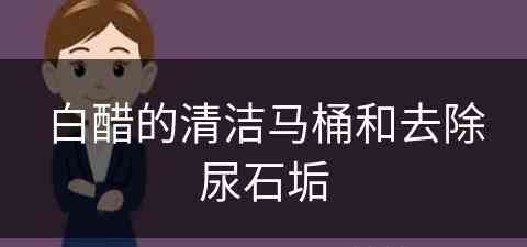 白醋的清洁马桶和去除尿石垢